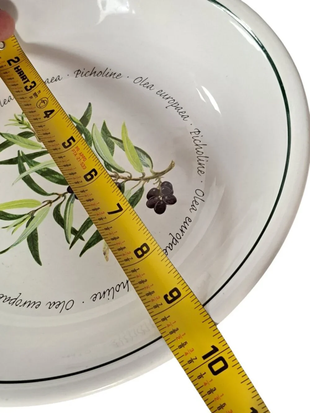 Williams Sonoma Olives Olea Europaea Picholine 9 1/2